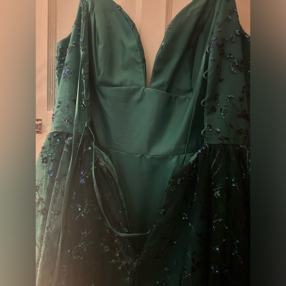 Blush by Alexia Designs - 20340 Embroidered Lace Sleeveless Gown - Picture 6 of 13